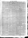 Wicklow News-Letter and County Advertiser Saturday 09 March 1878 Page 3