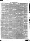 Wicklow News-Letter and County Advertiser Saturday 07 December 1878 Page 3