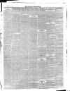 Wicklow News-Letter and County Advertiser Saturday 28 December 1878 Page 3