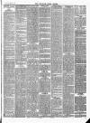 Wicklow News-Letter and County Advertiser Saturday 07 March 1885 Page 3