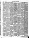 Wicklow News-Letter and County Advertiser Saturday 18 April 1885 Page 3
