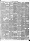Wicklow News-Letter and County Advertiser Saturday 23 May 1885 Page 3