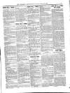 Wicklow News-Letter and County Advertiser Saturday 23 January 1897 Page 5