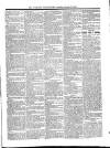 Wicklow News-Letter and County Advertiser Saturday 30 January 1897 Page 5