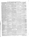 Wicklow News-Letter and County Advertiser Saturday 13 February 1897 Page 7