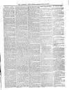 Wicklow News-Letter and County Advertiser Saturday 20 February 1897 Page 7