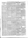 Wicklow News-Letter and County Advertiser Saturday 03 April 1897 Page 5