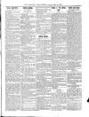 Wicklow News-Letter and County Advertiser Saturday 15 May 1897 Page 5