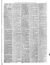 Wicklow News-Letter and County Advertiser Saturday 17 July 1897 Page 7