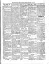 Wicklow News-Letter and County Advertiser Saturday 18 December 1897 Page 5