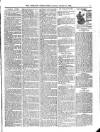 Wicklow News-Letter and County Advertiser Saturday 15 January 1898 Page 7