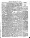 Wicklow News-Letter and County Advertiser Saturday 02 July 1898 Page 5