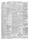 Wicklow News-Letter and County Advertiser Saturday 04 February 1899 Page 5