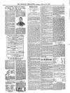 Wicklow News-Letter and County Advertiser Saturday 18 February 1899 Page 3