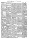 Wicklow News-Letter and County Advertiser Saturday 18 February 1899 Page 5