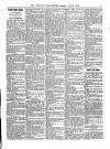 Wicklow News-Letter and County Advertiser Saturday 17 June 1899 Page 3