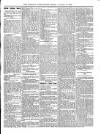 Wicklow News-Letter and County Advertiser Saturday 18 November 1899 Page 7