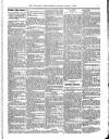 Wicklow News-Letter and County Advertiser Saturday 06 January 1900 Page 5