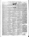 Wicklow News-Letter and County Advertiser Saturday 06 January 1900 Page 7