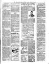 Wicklow News-Letter and County Advertiser Saturday 10 March 1900 Page 7