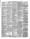 Wicklow News-Letter and County Advertiser Saturday 17 March 1900 Page 3