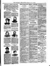 Wicklow News-Letter and County Advertiser Saturday 16 June 1900 Page 9