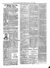 Wicklow News-Letter and County Advertiser Saturday 23 June 1900 Page 7