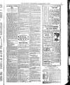 Wicklow News-Letter and County Advertiser Saturday 06 October 1900 Page 8
