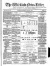 Wicklow News-Letter and County Advertiser Saturday 02 March 1901 Page 1