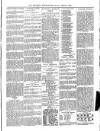 Wicklow News-Letter and County Advertiser Saturday 02 March 1901 Page 5