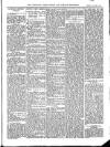 Wicklow News-Letter and County Advertiser Saturday 03 January 1903 Page 11