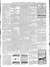 Wicklow News-Letter and County Advertiser Saturday 05 November 1904 Page 3