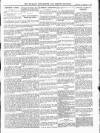 Wicklow News-Letter and County Advertiser Saturday 05 November 1904 Page 7