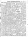 Wicklow News-Letter and County Advertiser Saturday 05 November 1904 Page 9