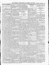 Wicklow News-Letter and County Advertiser Saturday 05 November 1904 Page 11