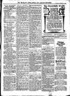 Wicklow News-Letter and County Advertiser Saturday 23 December 1905 Page 5