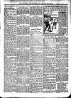 Wicklow News-Letter and County Advertiser Saturday 05 January 1907 Page 3