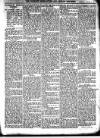 Wicklow News-Letter and County Advertiser Saturday 05 January 1907 Page 5