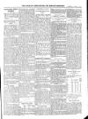 Wicklow News-Letter and County Advertiser Saturday 08 January 1910 Page 5