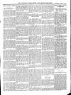 Wicklow News-Letter and County Advertiser Saturday 08 January 1910 Page 7