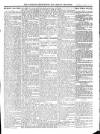Wicklow News-Letter and County Advertiser Saturday 08 January 1910 Page 11
