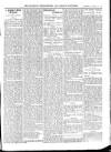 Wicklow News-Letter and County Advertiser Saturday 22 January 1910 Page 11