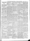 Wicklow News-Letter and County Advertiser Saturday 05 February 1910 Page 3