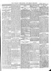 Wicklow News-Letter and County Advertiser Saturday 12 February 1910 Page 5