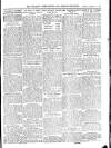 Wicklow News-Letter and County Advertiser Saturday 19 February 1910 Page 11