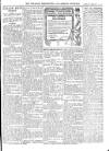 Wicklow News-Letter and County Advertiser Saturday 26 February 1910 Page 11