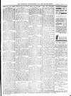 Wicklow News-Letter and County Advertiser Saturday 05 March 1910 Page 11