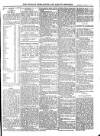 Wicklow News-Letter and County Advertiser Saturday 19 March 1910 Page 5