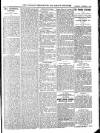 Wicklow News-Letter and County Advertiser Saturday 19 November 1910 Page 5