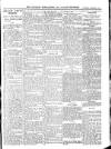 Wicklow News-Letter and County Advertiser Saturday 03 December 1910 Page 5